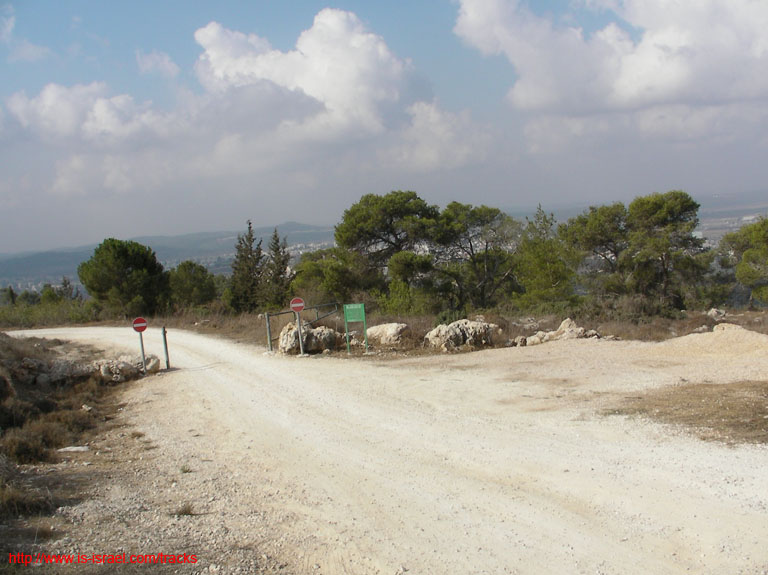SANY1503