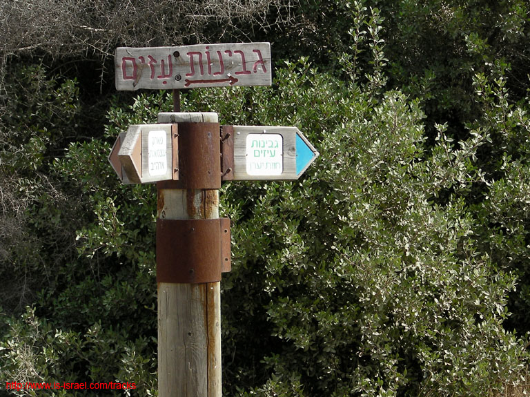 SANY1514