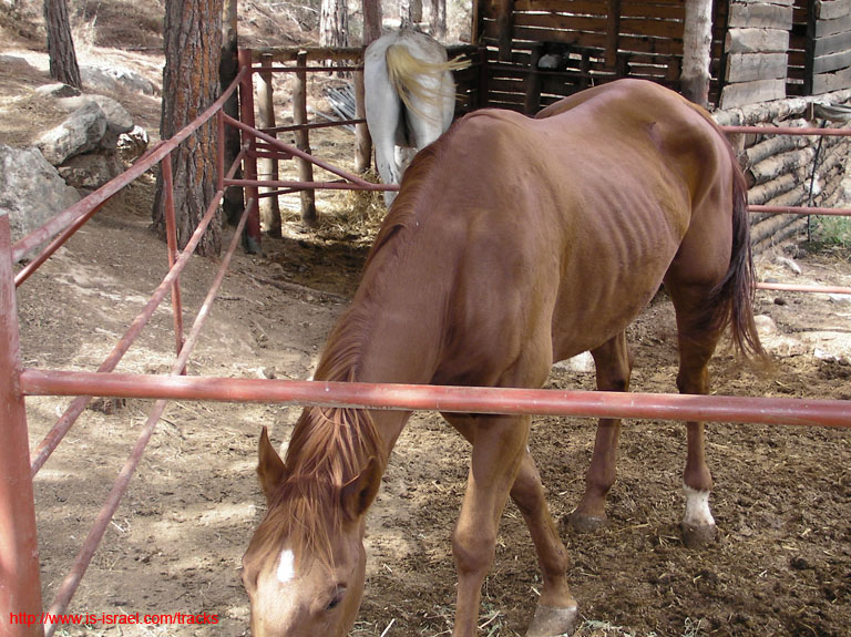 SANY1543