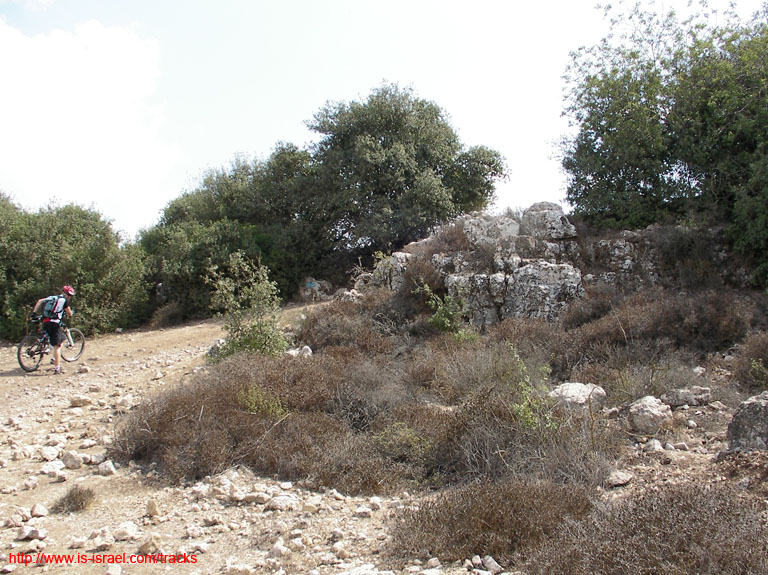 SANY1610
