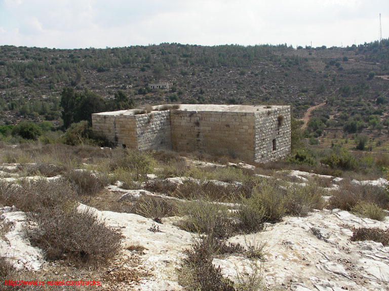 SANY1631