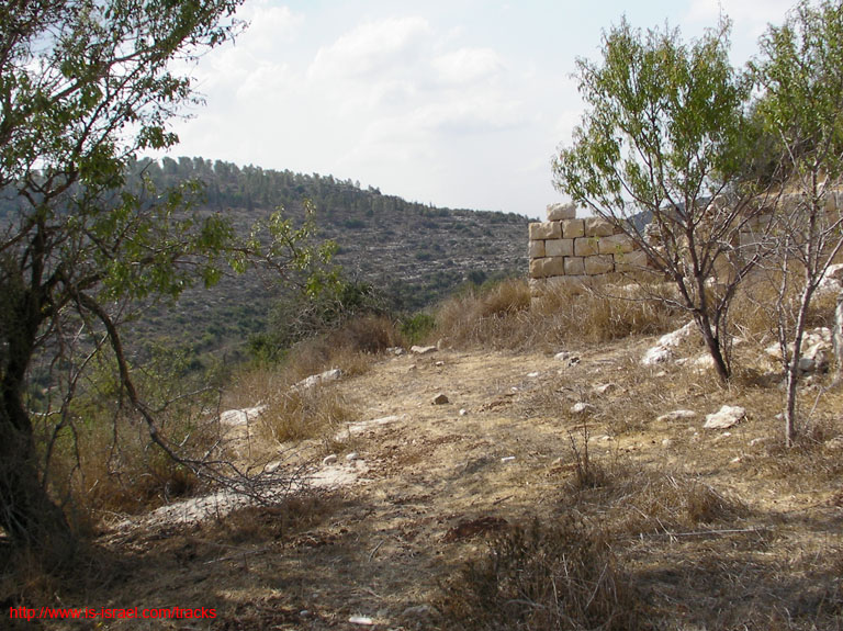 SANY1636