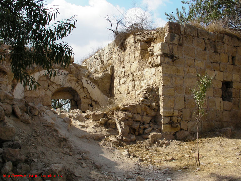 SANY1644