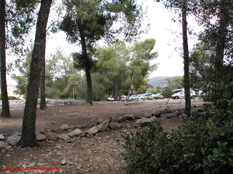 SANY1674