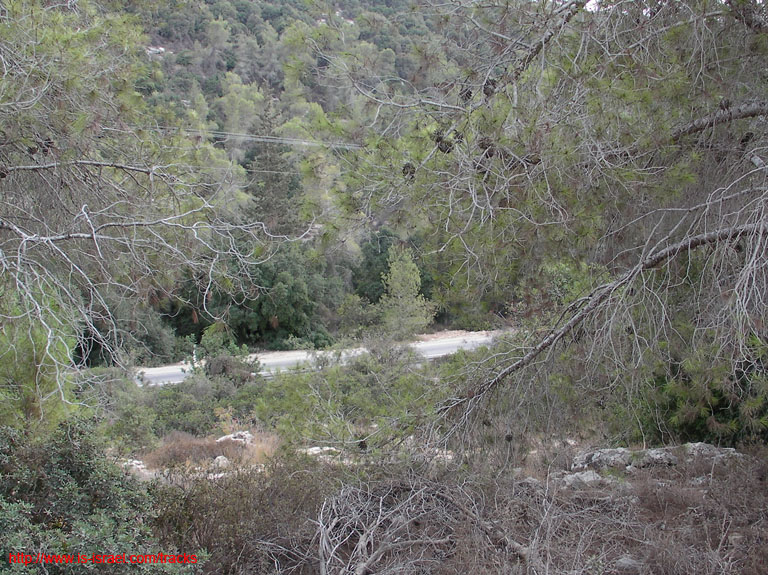 SANY1686
