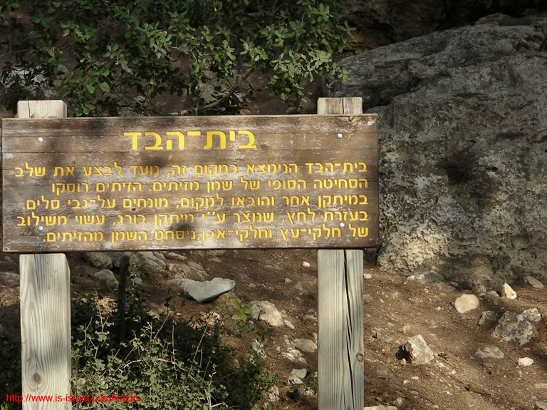 SANY1740