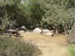 SANY1546