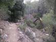 SANY1724