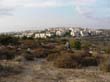 SANY1748