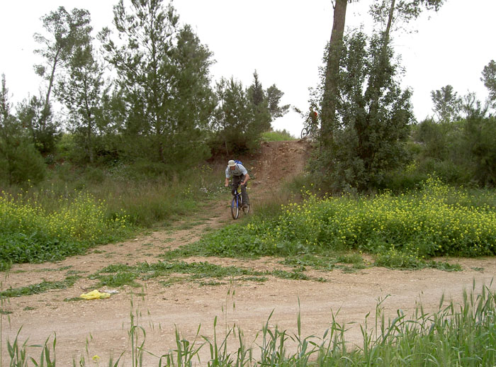 PICT5022