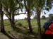 PICT5041