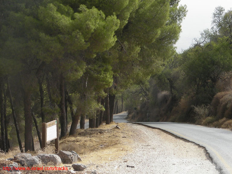 SANY0050