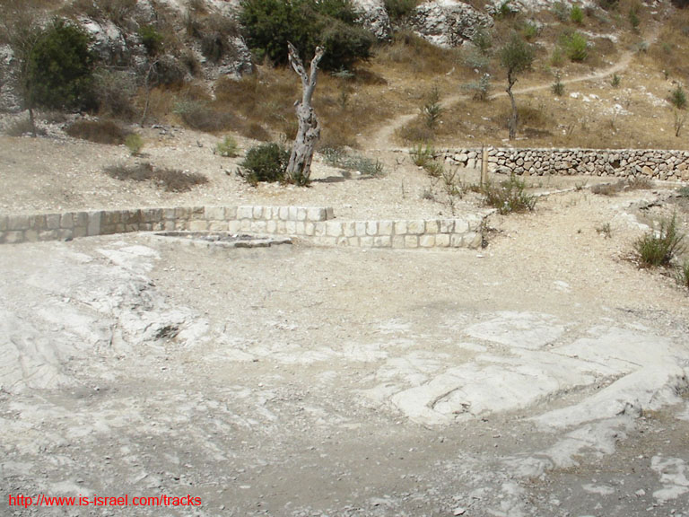 SANY0161