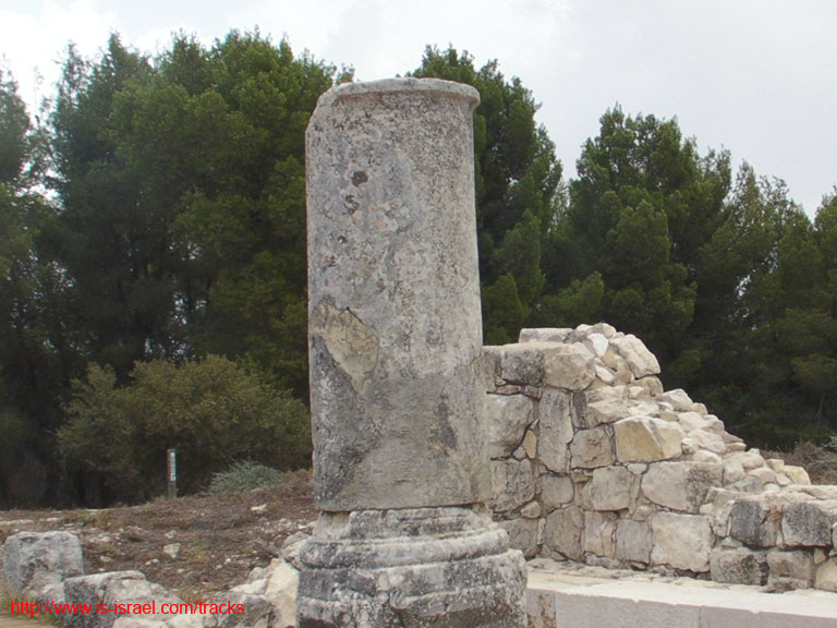 SANY0185