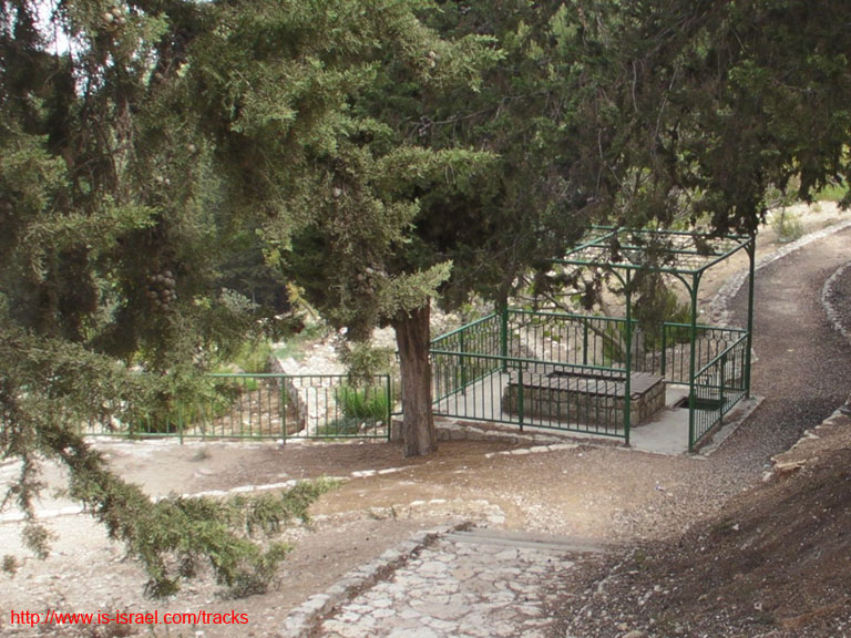 SANY0205