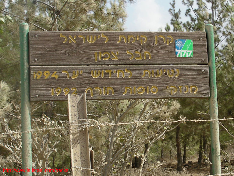 SANY0216