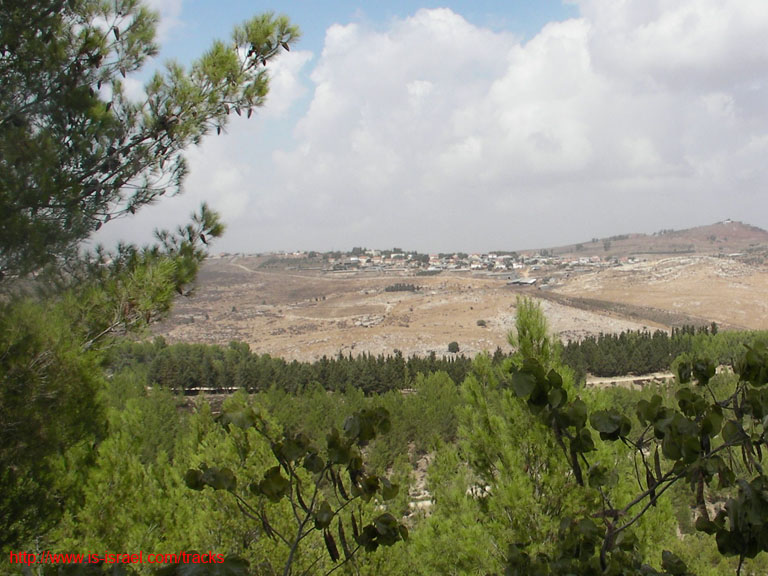 SANY0225