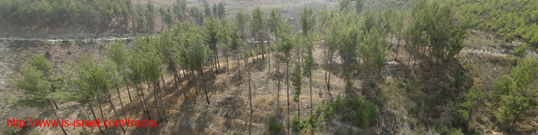 panorama4