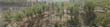 panorama4