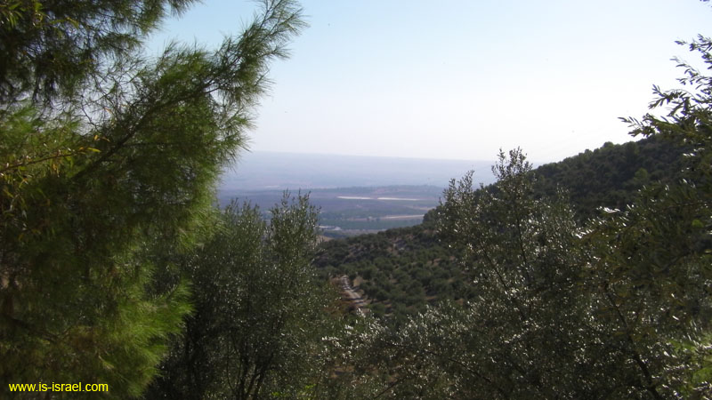SANY0506