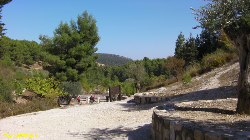 SANY0536