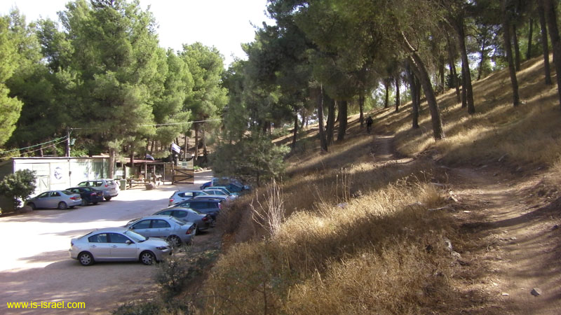 SANY0576
