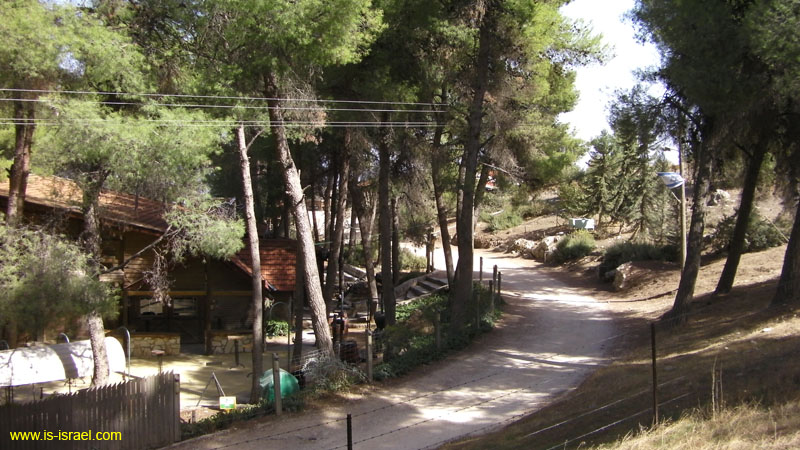 SANY0577