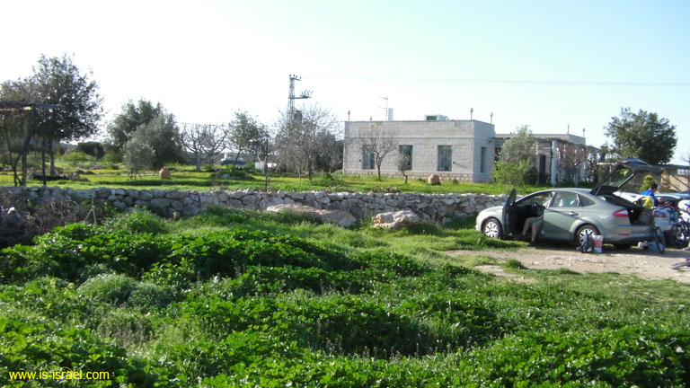 SANY0601