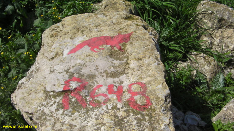 SANY0680