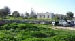 SANY0601