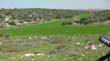 SANY0713