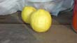 SANY0734