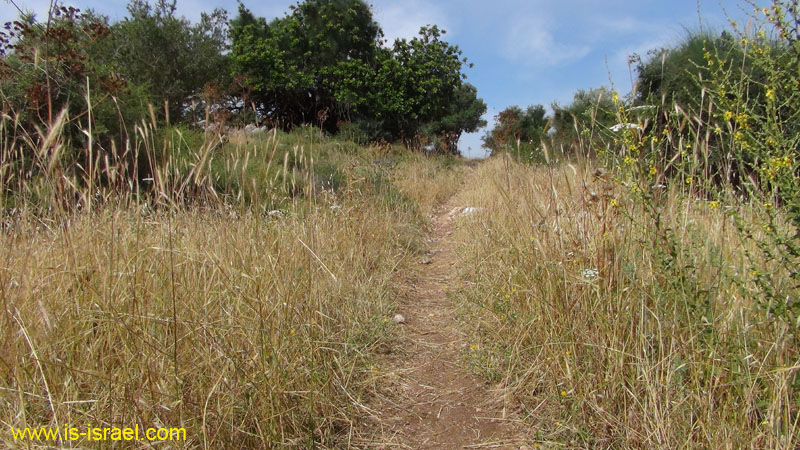 DSC06455