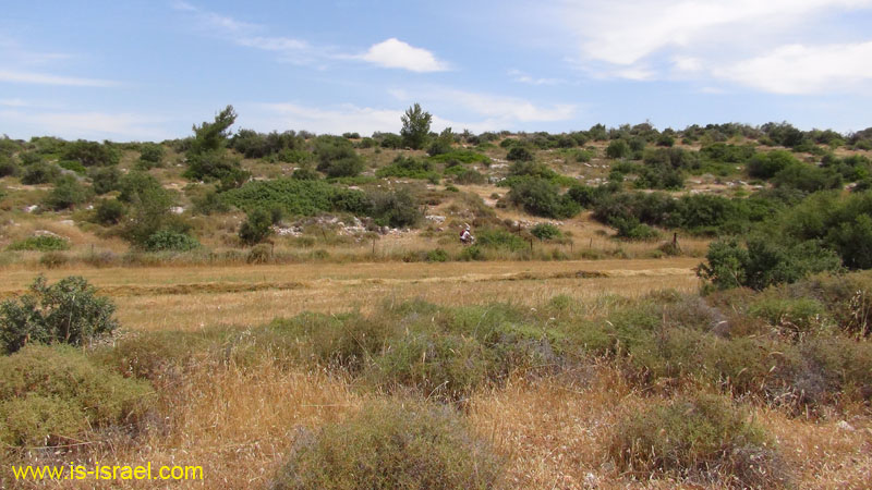 DSC06470