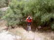 PICT6658