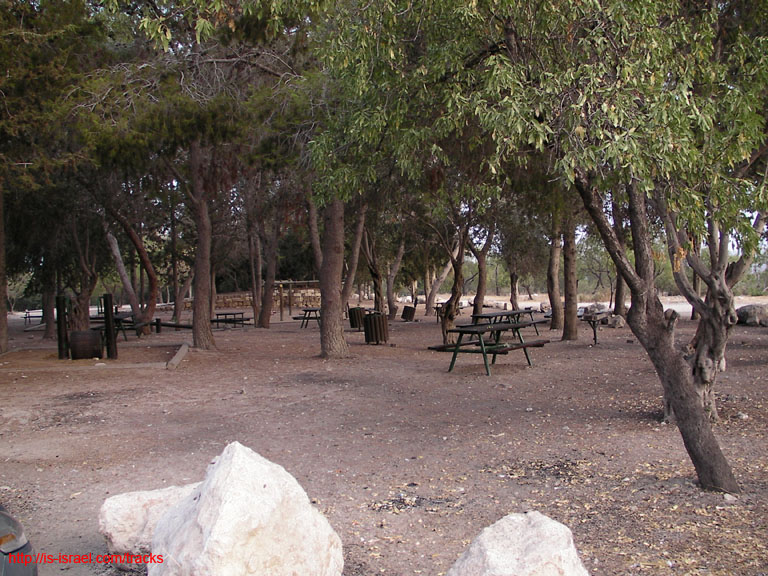 SANY0379