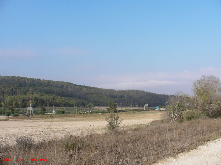 SANY0410