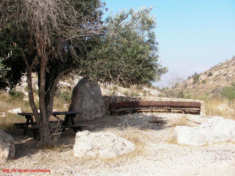 SANY0419
