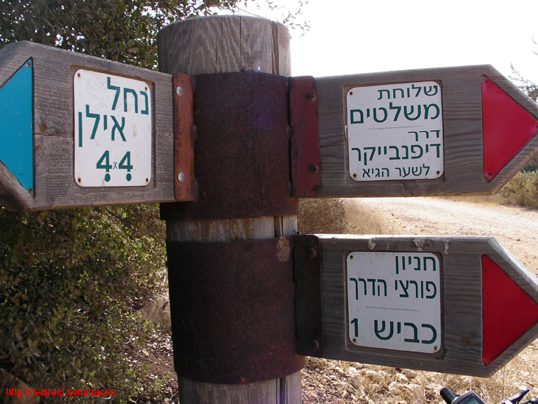 SANY0459