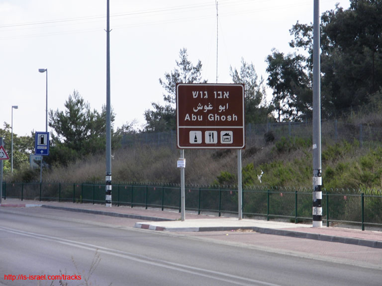 SANY0521