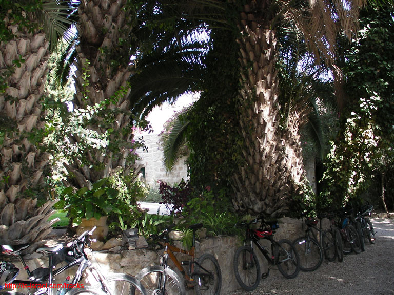 SANY0559