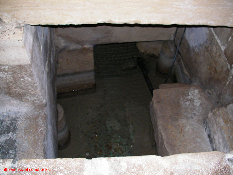 SANY0571