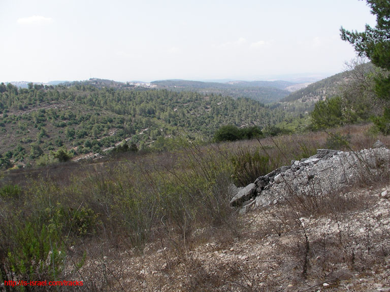 SANY0669
