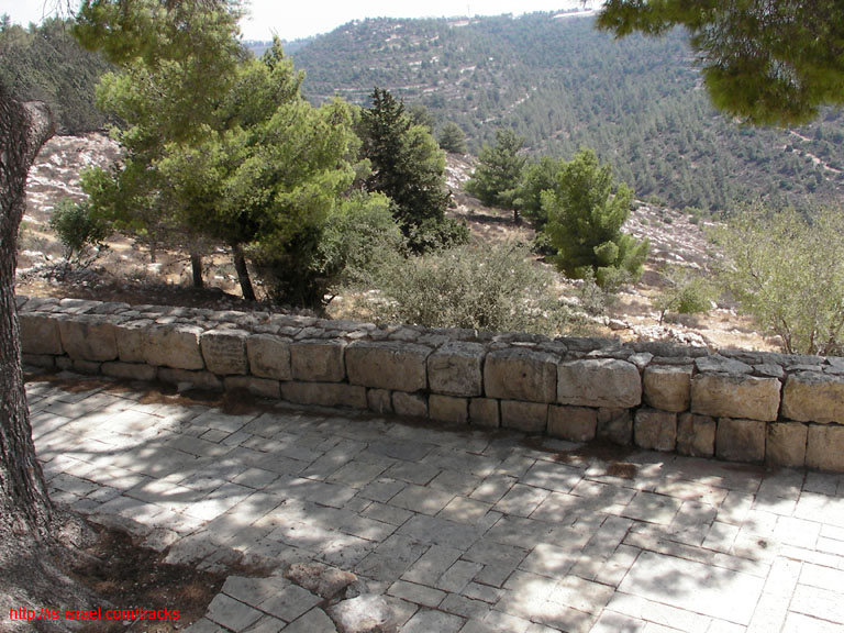 SANY0685
