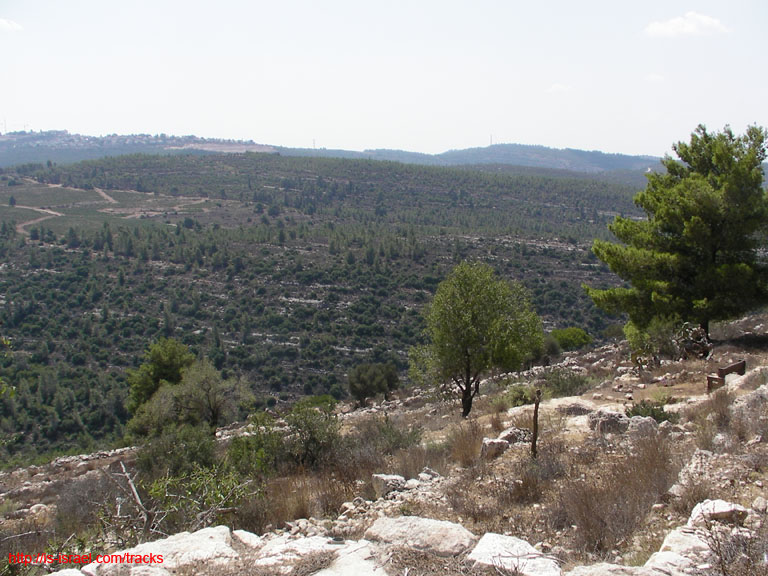 SANY0693