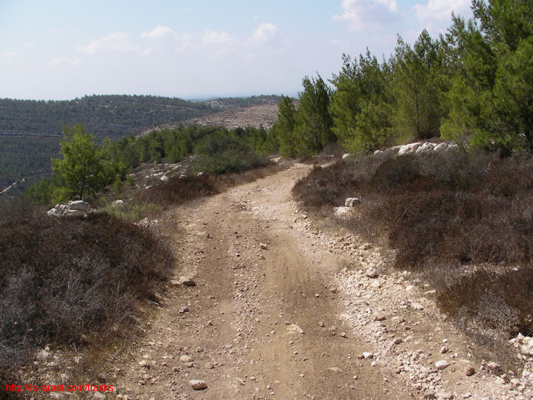 SANY0697