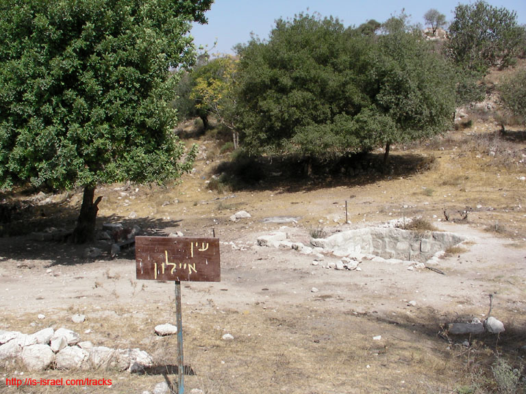 SANY0744