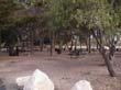 SANY0379