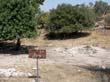 SANY0744