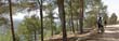 panorama1